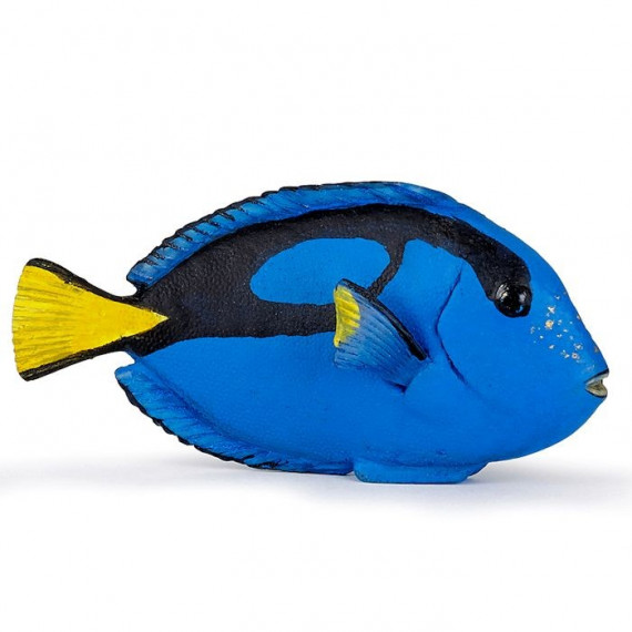 Poisson-chirurgien, figurine PAPO 56024