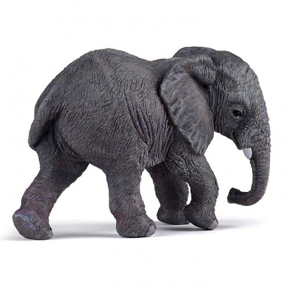 Jeune éléphant d'Afrique PAPO 50169