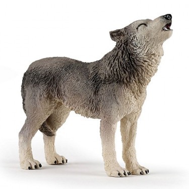 Loup hurlant PAPO 50171