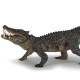 Kaprosuchus dinosaure PAPO 55056