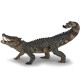 Kaprosuchus dinosaure PAPO 55056