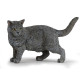 Chat chartreux, figurine PAPO 54040