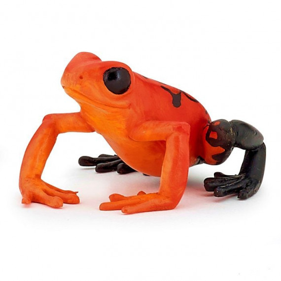 Grenouille équatoriale rouge, figurine PAPO 50193