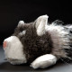 SIGIKID Beasts, peluche chat Lost and Found 38642