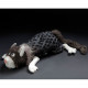 SIGIKID Beasts, peluche chat Lost and Found 38642