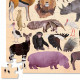 Puzzle '36 animaux sauvages' 100 pcs CROCODILE CREEK