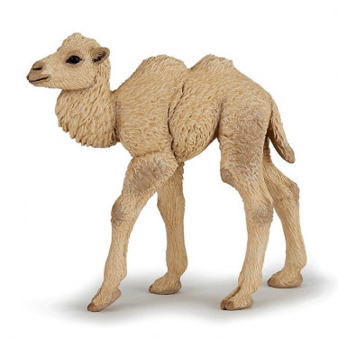 Bébé chameau, figurine PAPO 50221