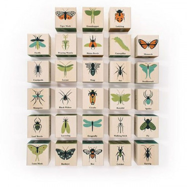 Cubes 'insectes' Uncle Goose