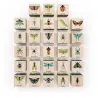 Cubes 'insectes' Uncle Goose