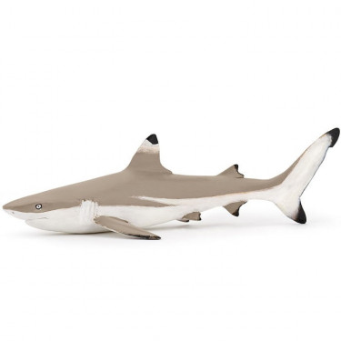 Requin à pointes noires, figurine PAPO 56034