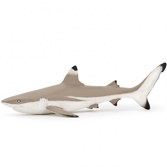 Requin à pointes noires, figurine PAPO 56034