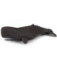 Cachalot, figurine PAPO 56036