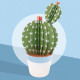 Les petits cactus, maquettes en papier 'Sophie et Martin'