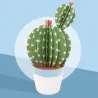 Les petits cactus, maquettes en papier 'Sophie et Martin'