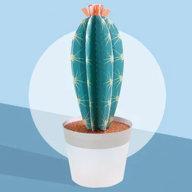 Les petits cactus, maquettes en papier 'Sophie et Martin'