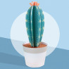 Les petits cactus, maquettes en papier 'Sophie et Martin'
