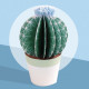 Les petits cactus, maquettes en papier 'Sophie et Martin'