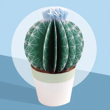 Les petits cactus, maquettes en papier 'Sophie et Martin'