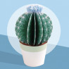 Les petits cactus, maquettes en papier 'Sophie et Martin'