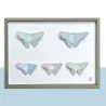 Les beaux papillons, maquettes en papier 'Sophie et Martin'