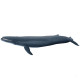 Baleine bleue, figurine PAPO 56037