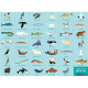 Puzzle 'Cherche & Trouve' Vie arctique 64 pcs Mudpuppy