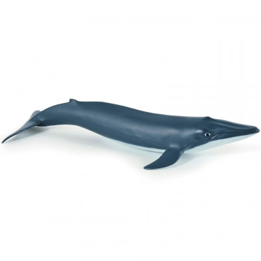 Bébé baleine bleue, figurine PAPO 56041