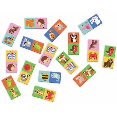 Cadomino, jeu d'observation DJECO 8549