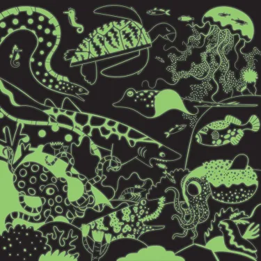 Puzzle qui Brille dans le Noir "Océan" 500 pcs Mudpuppy