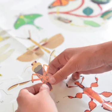 Poster en stickers "Insectes" Poppik