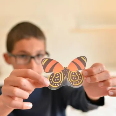 Poster en stickers "Insectes" Poppik