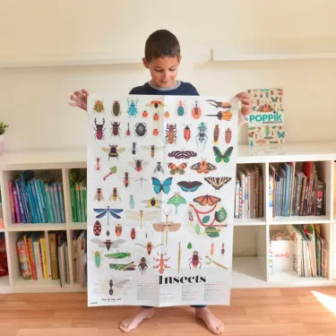 Poster en stickers "Insectes" Poppik