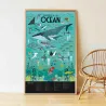 Poster en stickers "Océans" Poppik