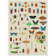 Puzzle 500 pièces "Insectes" Cloudberries