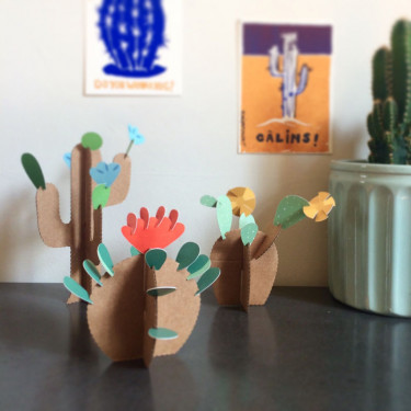 6 cactus à créer, kit créatif pour enfant Pirouette Cacahouète