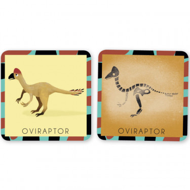 Jeu de mémory 'Le dinosaure et son squelette' Pirouette Cacahouète