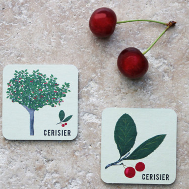 Jeu de mémory 'L'arbre et sa feuille' Pirouette Cacahouète