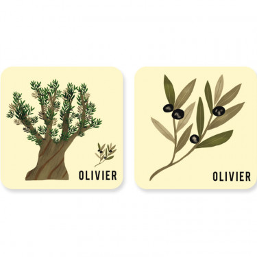 Jeu de mémory 'L'arbre et sa feuille' Pirouette Cacahouète