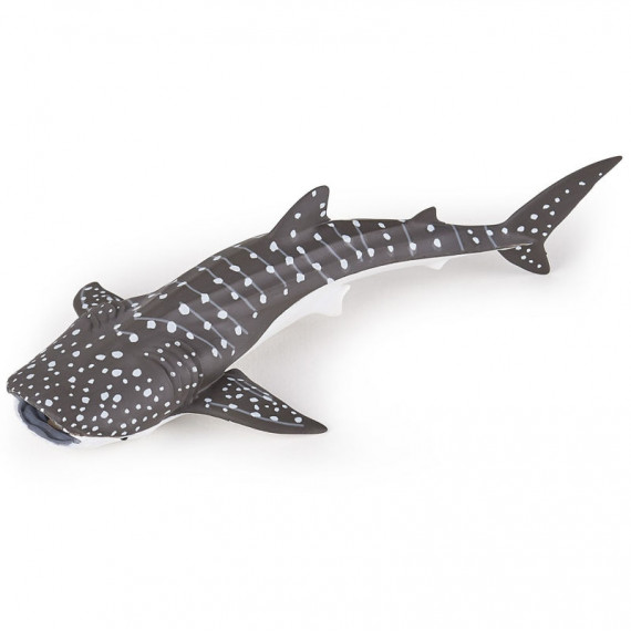 Jeune requin baleine, figurine PAPO 56046