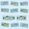 Les jolis poissons, kit minisuper 'Sophie et Martin'