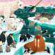 Animaux de l'Arctique, puzzle 72 pcs silhouette CROCODILE CREEK