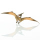 Ptéranodon, dinosaure PAPO 55006