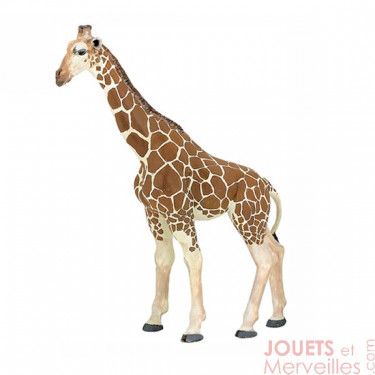 Girafe PAPO 50096