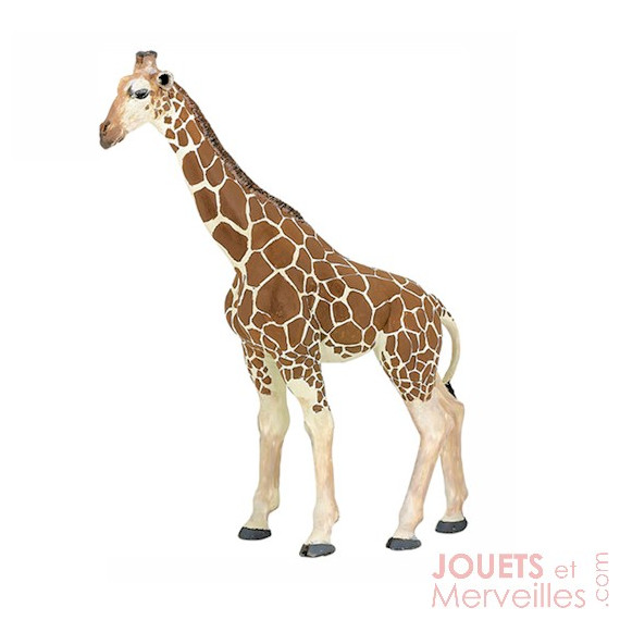 Girafe PAPO 50096 Girafe PAPO 50096