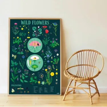 Poster en stickers "Botanique" Poppik