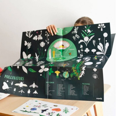 Poster en stickers "Botanique" Poppik