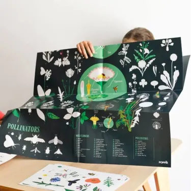 Poster en stickers "Botanique" Poppik