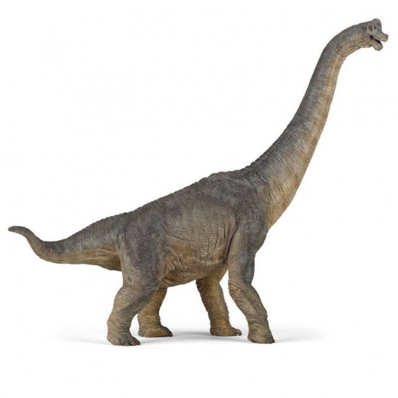 Brachiosaure PAPO 55030