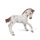 Poulain apaloosa cheval PAPO 51510