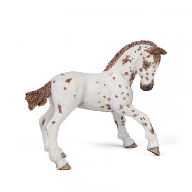 Poulain apaloosa cheval PAPO 51510